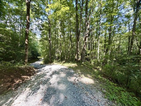 Land, Robbinsville, NC