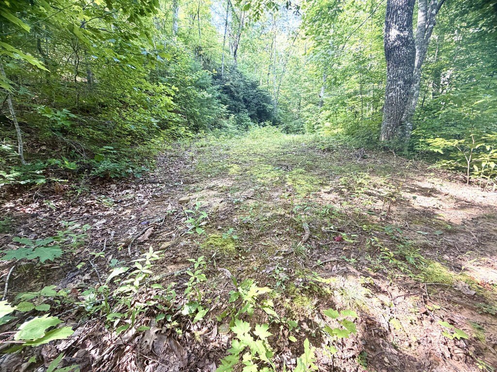 Picture 7