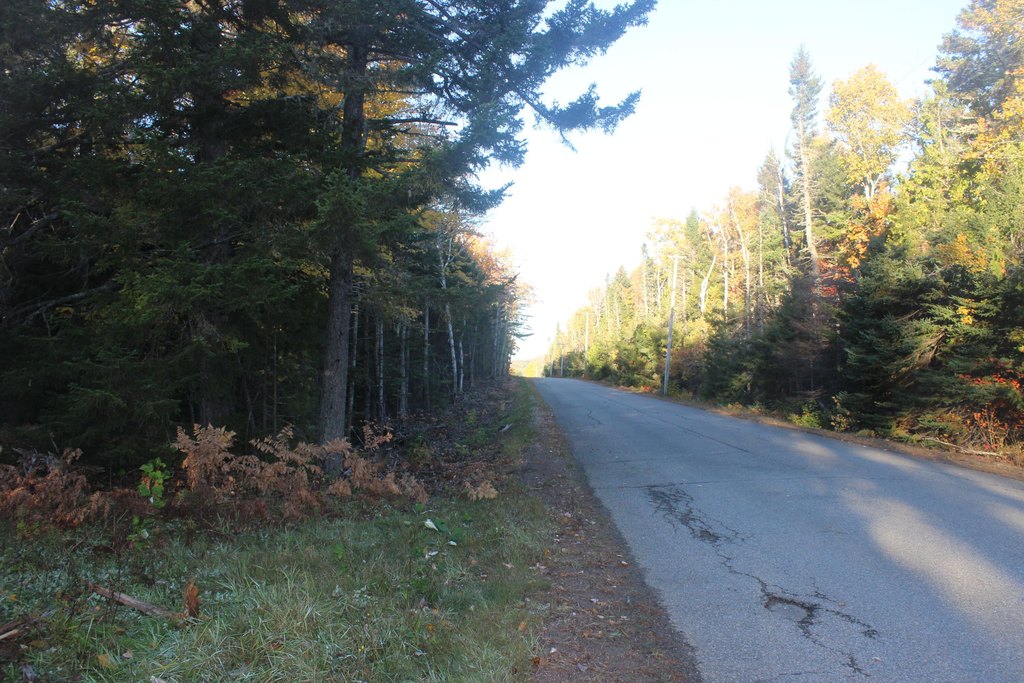 Picture 5