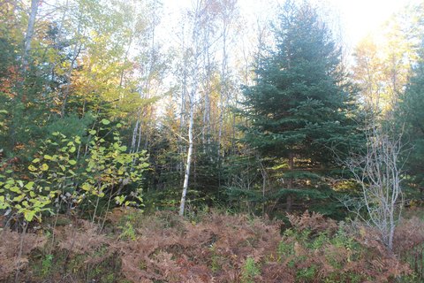 Land, Perry, ME