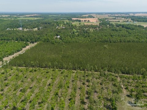 Level Acreage in Jay, Florida