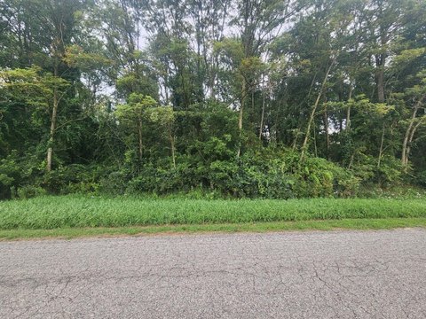 LAND - Onekama, MI