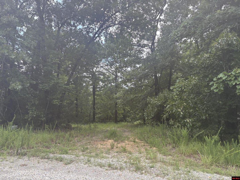 Picture 4