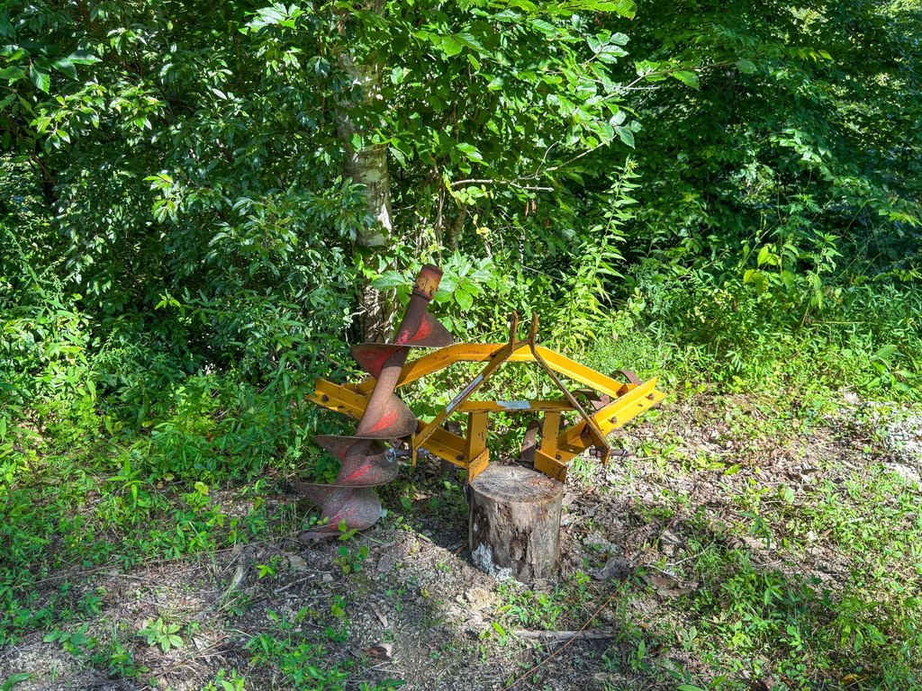 Picture 46