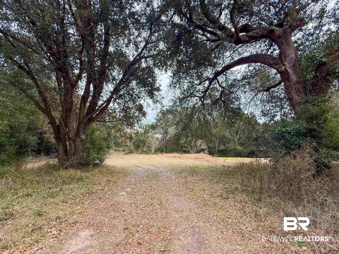 Commercial Development Land with Road Frontage