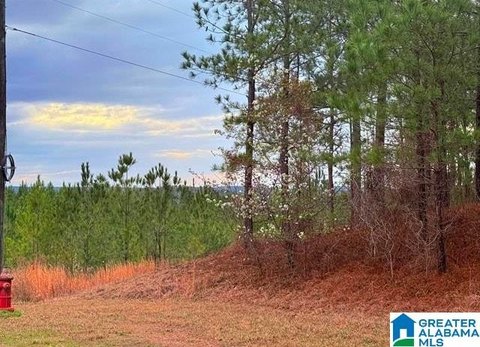 LAND - SYLACAUGA, AL