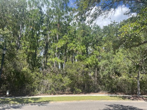 Land, St. Marys, GA