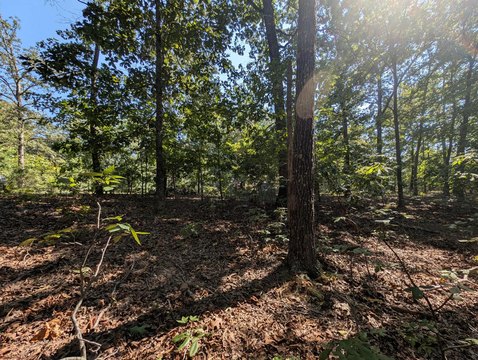 LAND - Murray, KY