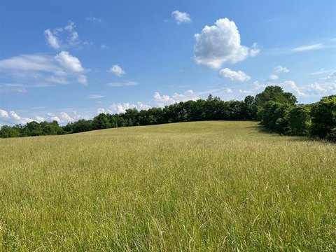 Gently Rolling Farmland Parcel