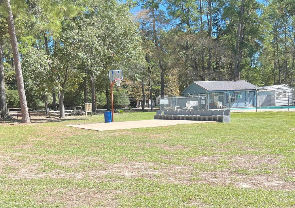 Picture 17
