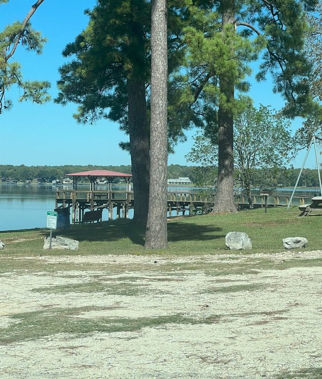 Picture 16