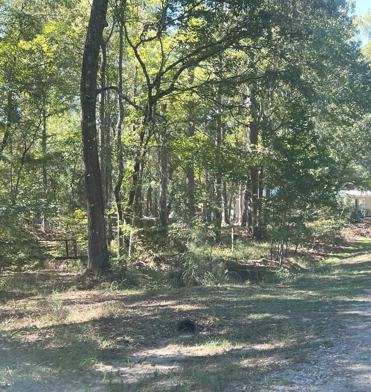 Picture 2