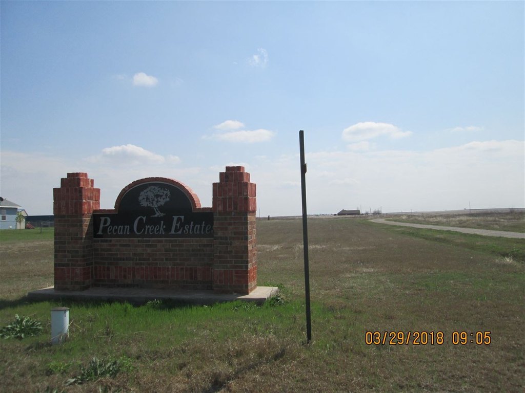 Picture 8