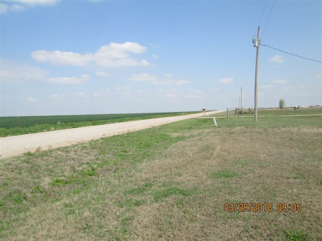Picture 5