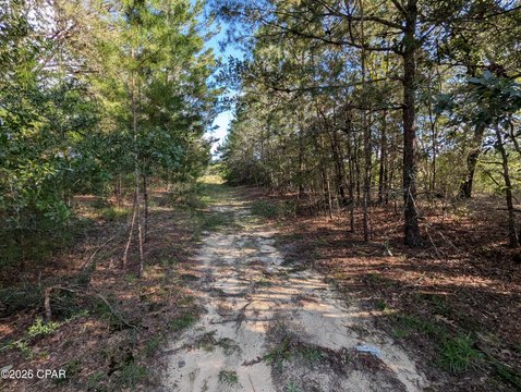 Land, Defuniak Springs, FL