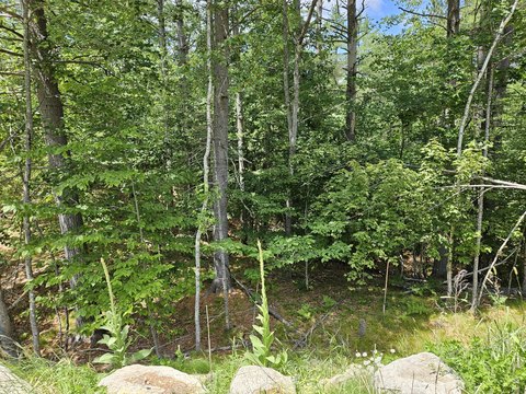 Waterboro Land For Sale