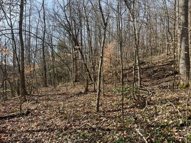 Land For Sale, Sandy Hook
