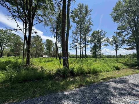 Land Available in Albertville, AL