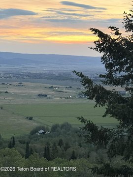 Teton Valley Treed Land
