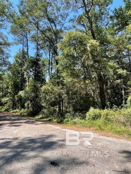 Undeveloped Lot in Mobile, AL