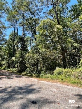 Undeveloped Lot in Mobile, AL