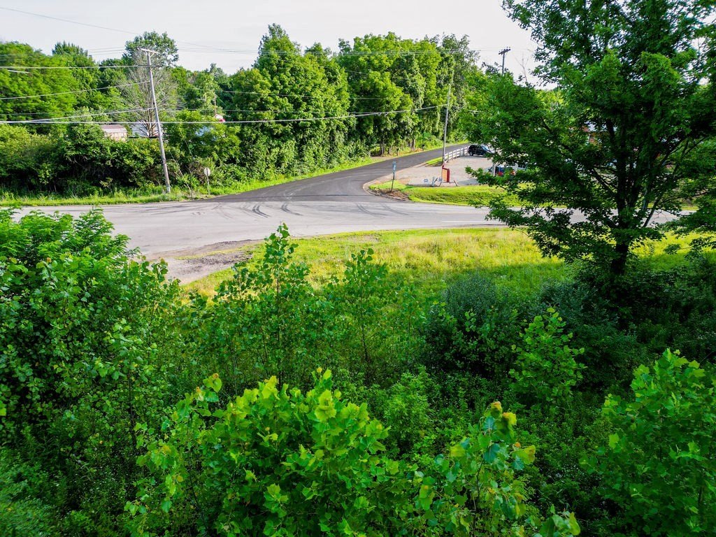 Picture 8