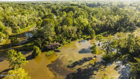 Trenton, TN Hunting Land
