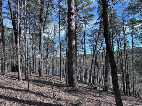 Land Near Lake Cortez