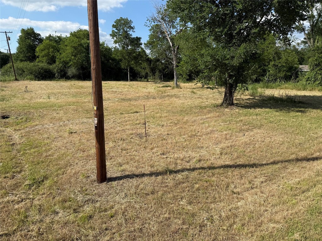 Picture 8