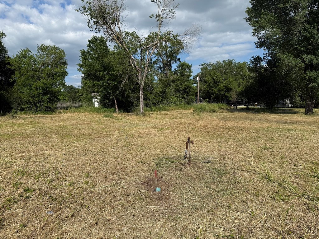 Picture 4
