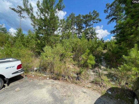 Residential Lot in Columbia, SC