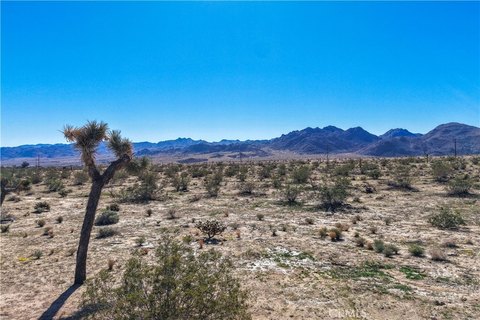 Land, Joshua Tree, CA