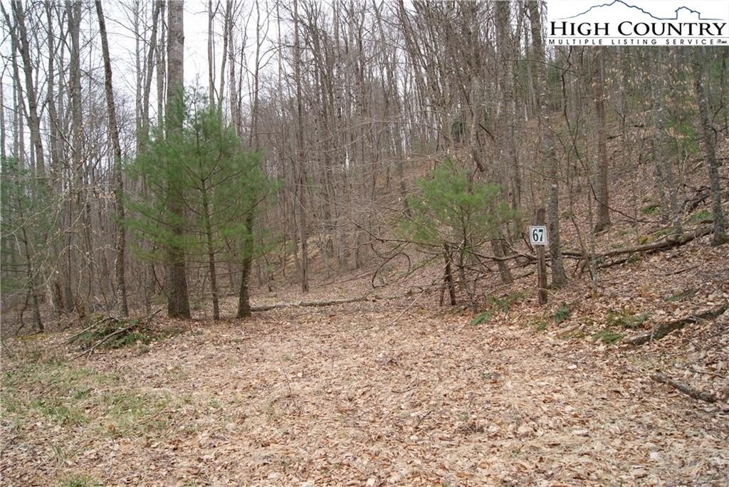 Wooded Land in Laurel Mountain Estates