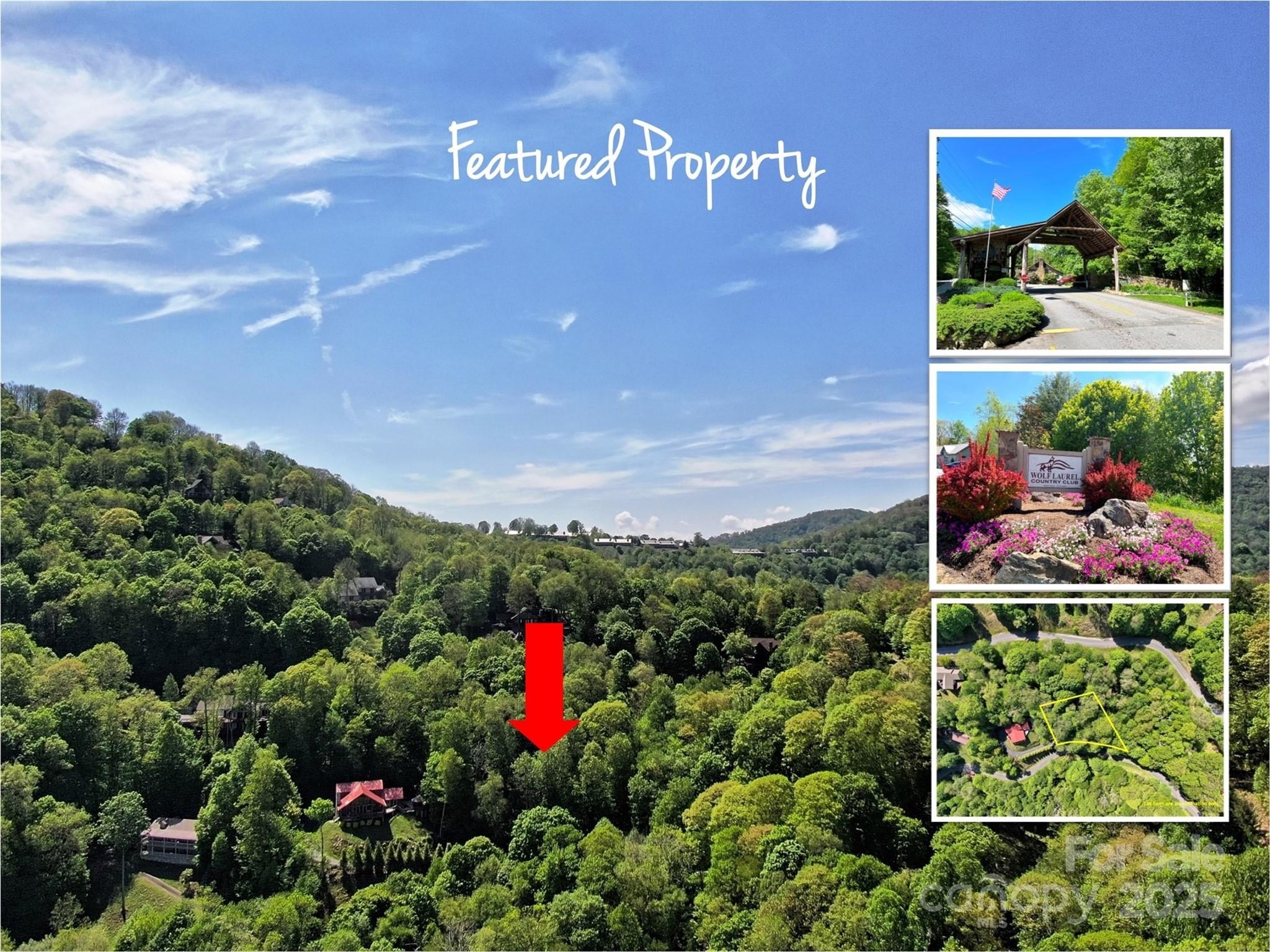 Mountain Lot in Wolf Laurel