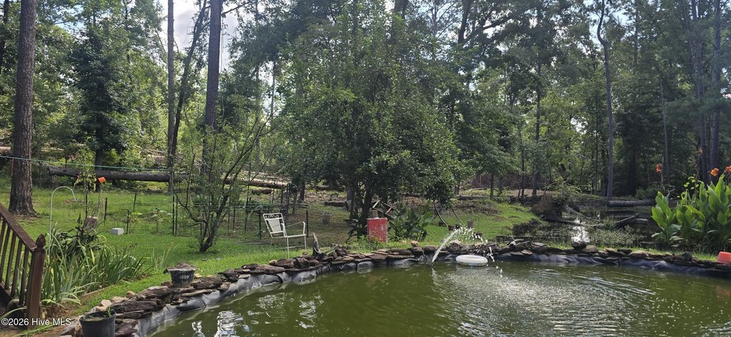 Picture 28