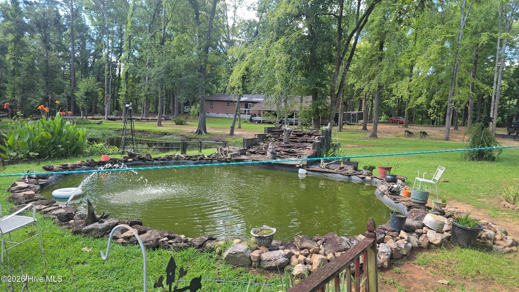 Picture 25
