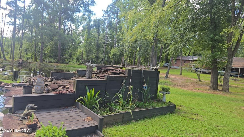 Picture 18