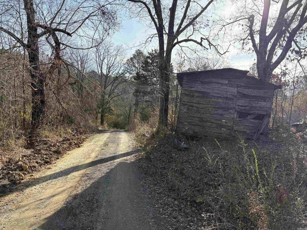 Picture 4
