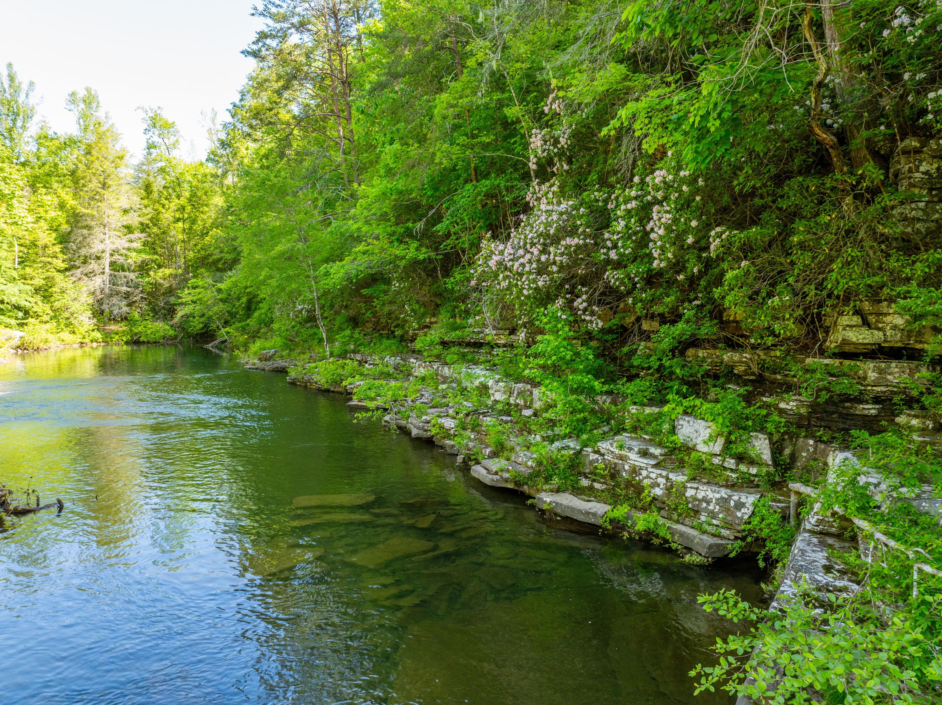 Secluded Tennessee Land with Creek
