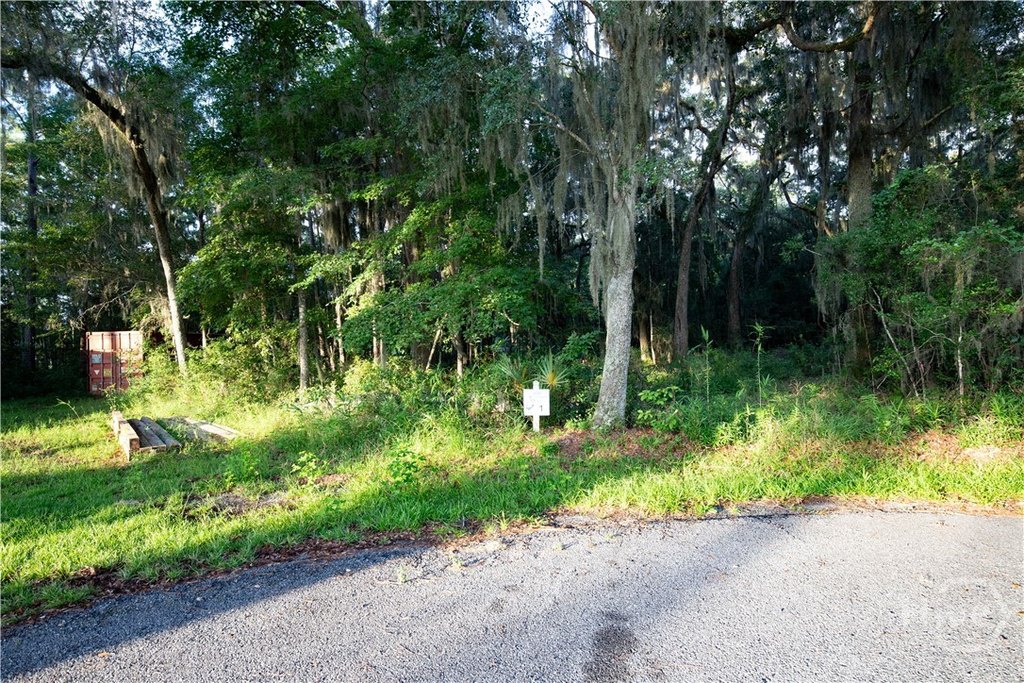 Picture 7
