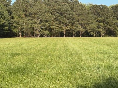 Residential Land in Clearview Community
