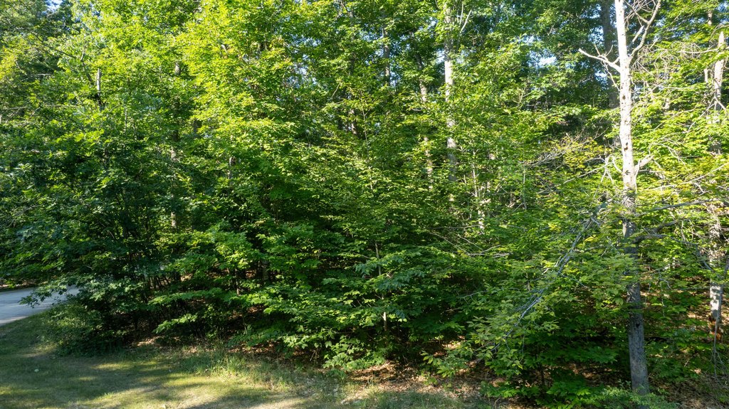 Picture 10