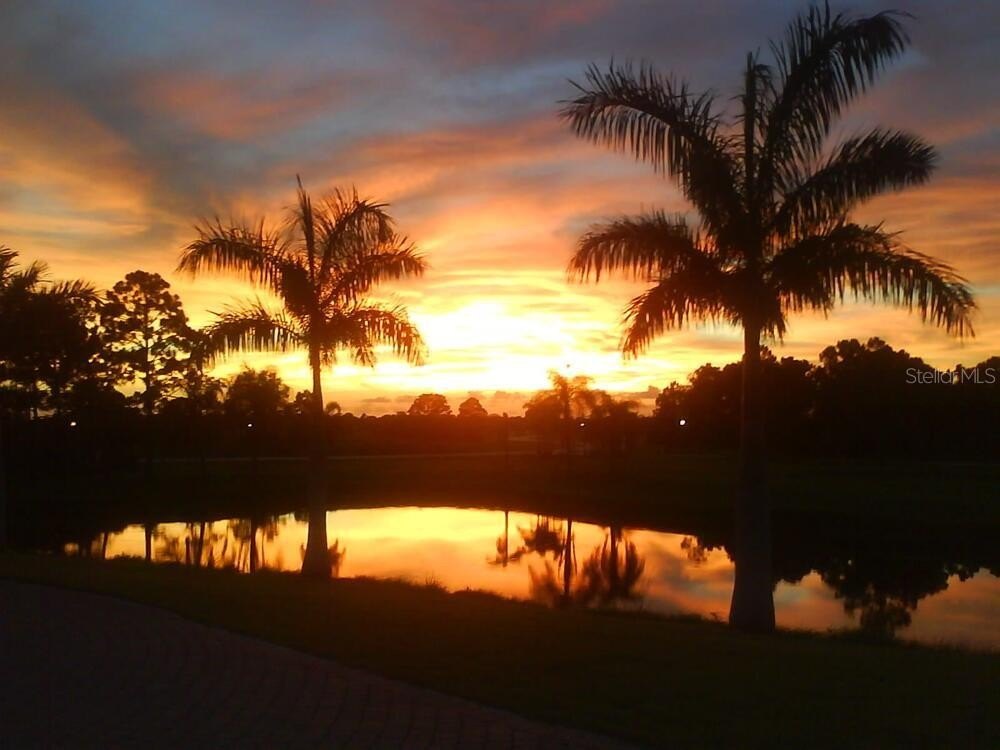 Picture 19