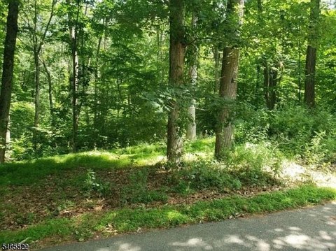 Residential Development Lot with Woods