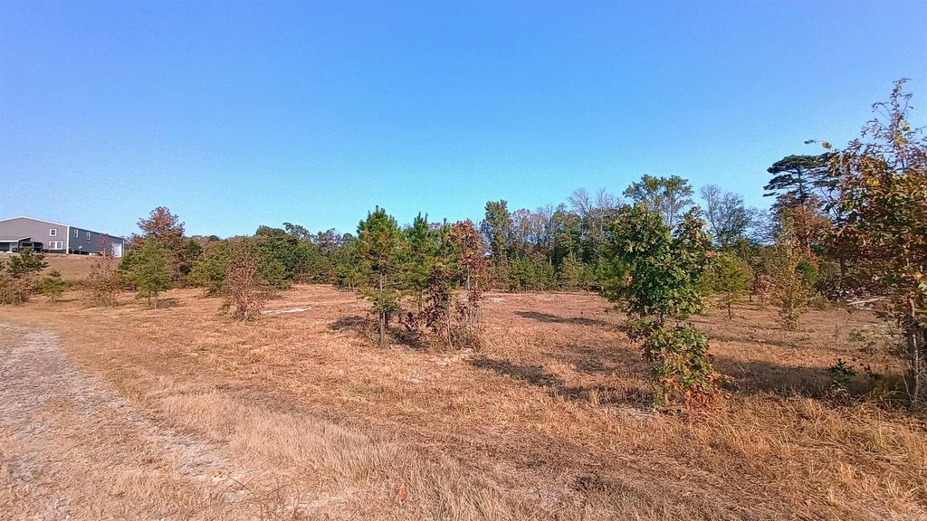 Picture 12