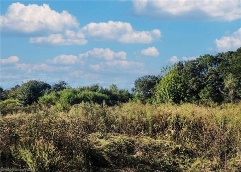 Unrestricted Wooded Land Tract