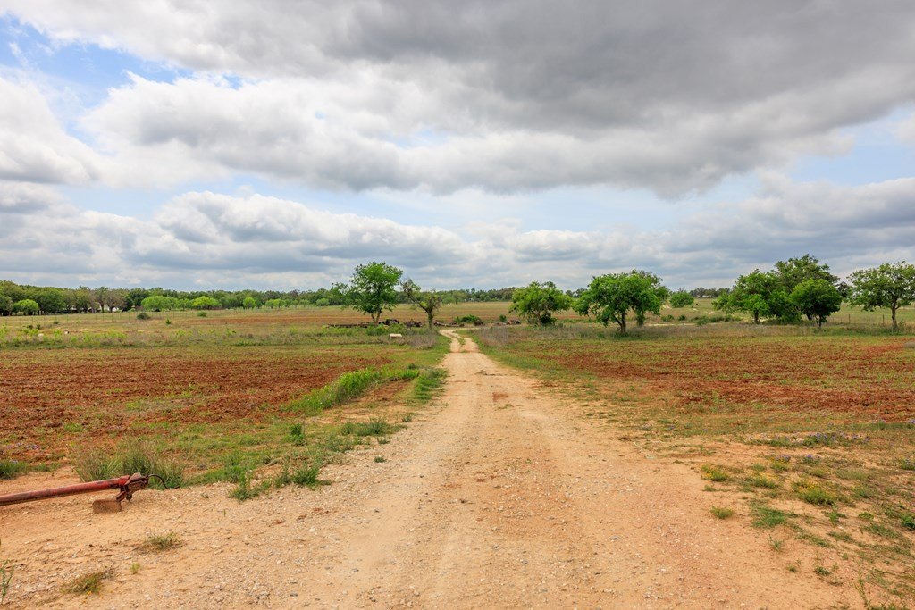 Picture 26