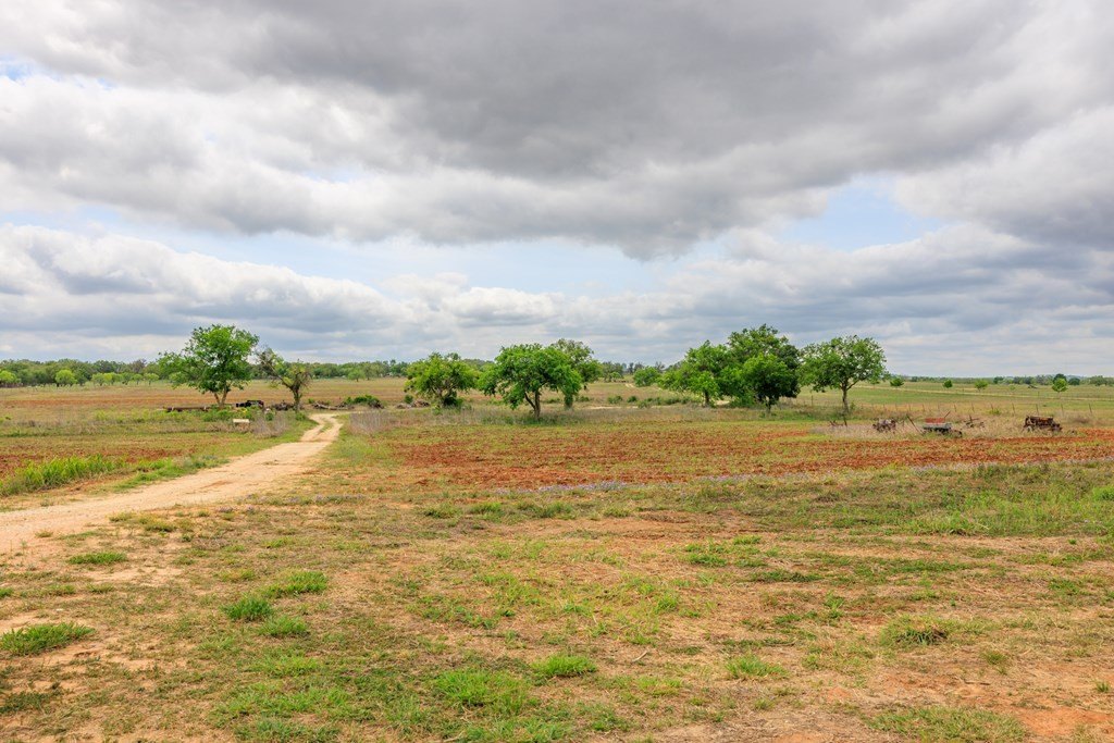 Picture 22