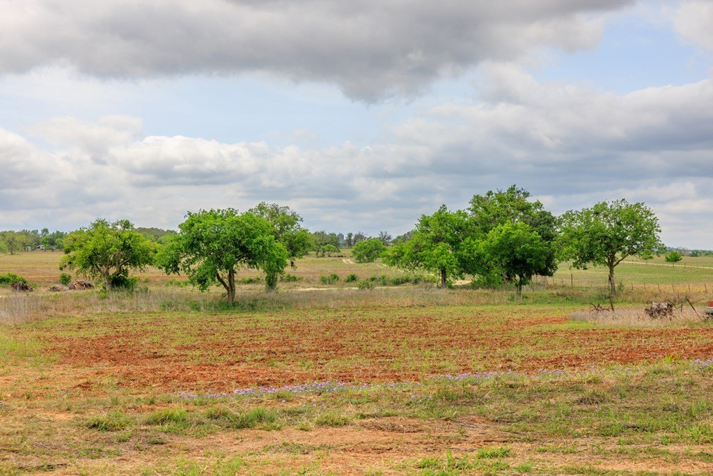 Picture 23
