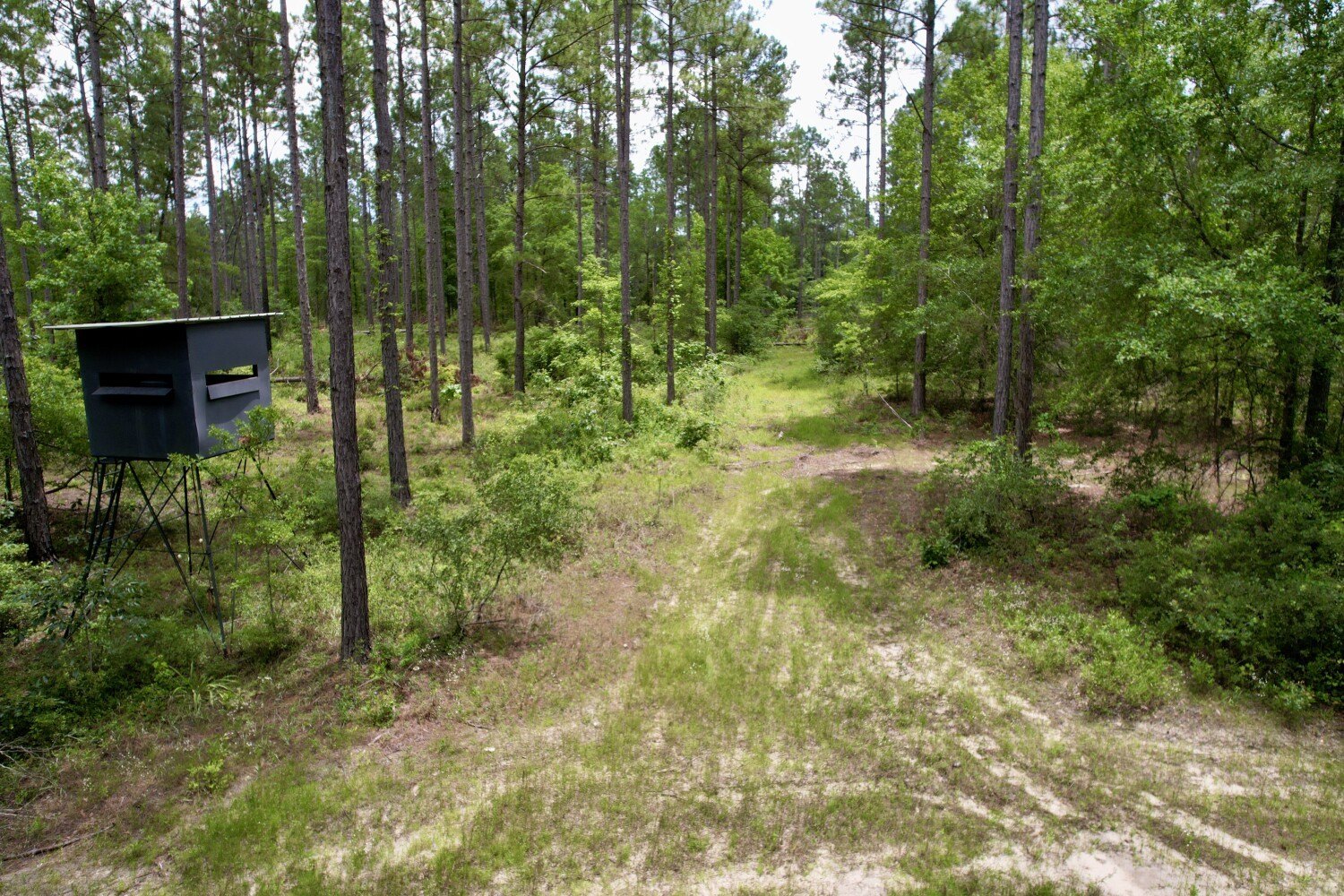 93.98 Acres Vacant Land